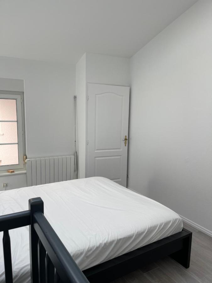 Nancy Hypercentre 34 Rue Des Dominicains ! Apartment Ngoại thất bức ảnh